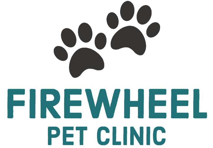 Firewheel Pet Clinic